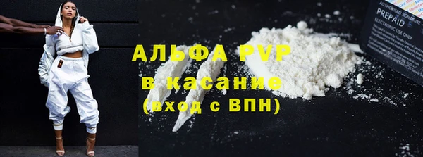 винт Шали