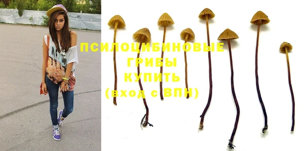 ECSTASY Шарыпово