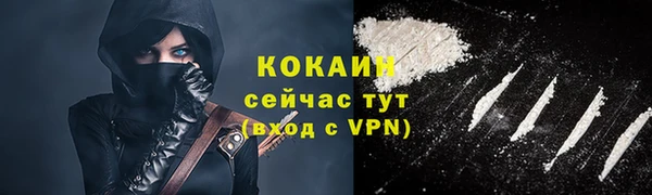 винт Шали
