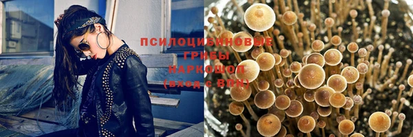 винт Шали