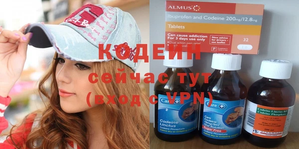 винт Шали
